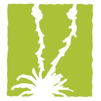 Civano Nursery Logo