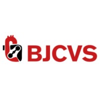 Brazilian Journal of Cardiovascular Surgery Logo