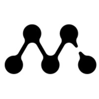 VMN Valuemanager Ninaus GmbH Logo