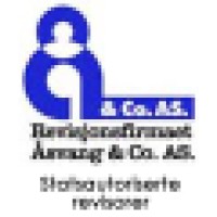 Revisjonsfirmaet Åsvang & Co Logo