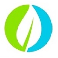 Nueva Energía Argentina SA Logo