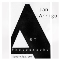 JanArrigo.com Logo