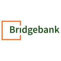 Bridgebank LTD Logo