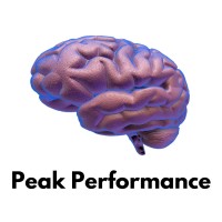 Peak Performance Logo