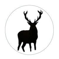 Patronus Energy LLC Logo
