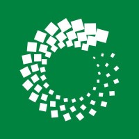 BSW Timber Logo