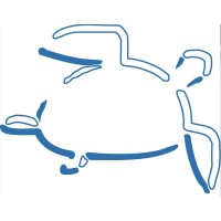 The Turtle Partnership Logo