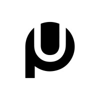 Ping Us Logo