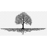Arraigo.org Logo