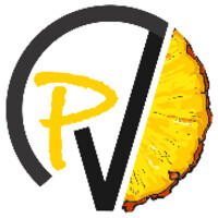 DPineapple Venturz Private Limited Logo