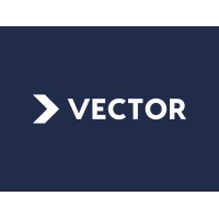 Vector Intelligence Logo