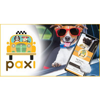 Paxi Inc. Logo