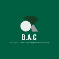Biz-Agility Coaching & Consulting Logo