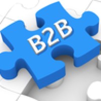 B2B Solutions Group- Charlotte, NC Logo