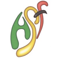 The Assin Foundation Logo