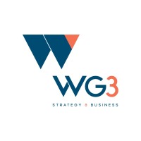 WG3 Strategy & Business Logo