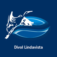 Divol Lindavista Logo