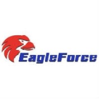 EagleForce Associates Inc. Logo