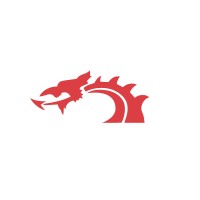 Dragonboard Ltd Logo