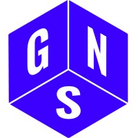 GN Surveys Ltd Logo
