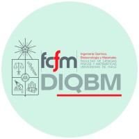 Departamento de Ingeniería Química, Biotecnología y Materiales. Universidad de Chile Logo