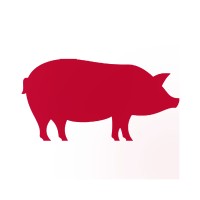 Klees Farm + Ranch Logo