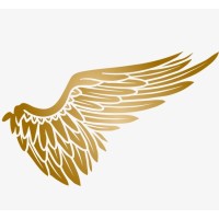 Angel Investor Inc. Logo
