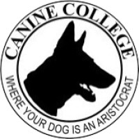 Canine College Logo