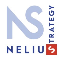 The Nelius Strategy LC Logo