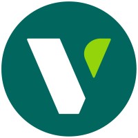 Vive Vascular Logo