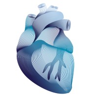 Innovation Cardiology Logo