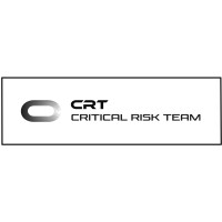 The Critical Risk Team - Asymmetrical Problem Solvers in Security, Risk and Crisis Management Logo