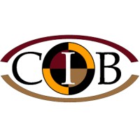 Center for Injury Biomechanics Logo