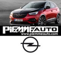 Piemme Auto Opel Logo