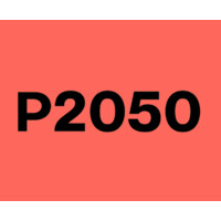 Project 2050 Logo