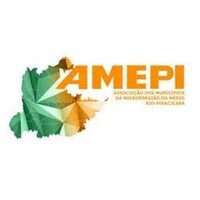 Amepi Logo