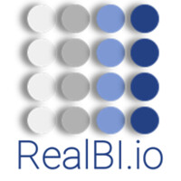 RealBI.io Logo