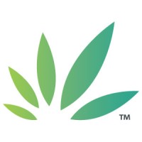 Daily Rx Logo