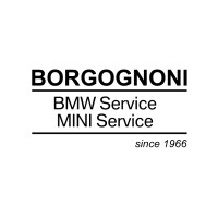 Borgognoni Srl Logo