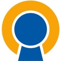 CI Flex Solutions, LLC Logo