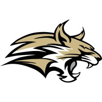 Lynx Motorsports Logo