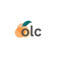Orange Lady Consulting Logo