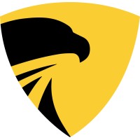 Analyst1 Logo