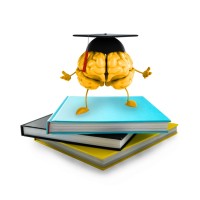 Smart Study Choice Logo