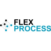 Flex Process Ltd Logo