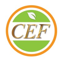 CEF Group Logo