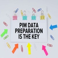 PIM data preparation Logo