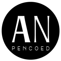 American Nails Logo