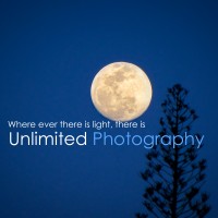 Unlimited Photography Logo