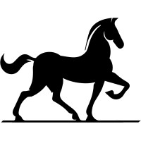 Bizos Cavallo Enterprises LLC Logo